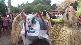 Reisado de Boa Hora Boi Panim❤️