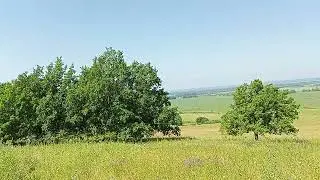 На́ сборе земляники.