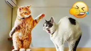 Pets Gone Wild 2025🤣🐾|#FurryFun #PetLovers #LOLWithPets #HilariousPets  #FunniestPets#CrazyPets
