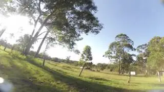 Bonka Lipo - HQ props - That save!