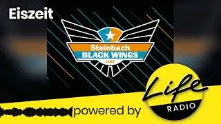 Eiszeit - Der Life Radio - Black Wings Podcast - Peter Nader - 500 Tage Black Wings Pr&auml;sident