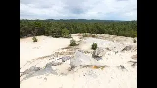Forêt de Fontainebleau entre dune de sable de Larchant et grotte du Curé (Villiers sous Grez)