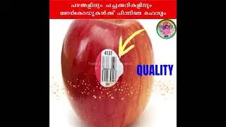 പഴങ്ങളിലെ സ്റ്റിക്കറുകളിൽ കോഡുകളുടെ മറഞ്ഞിരിക്കുന്ന അർത്ഥം| Stickers on Fruits in Malayalam #shorts