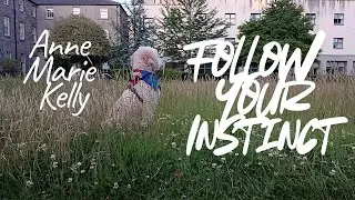 Anne Marie Kelly - Follow Your Instinct