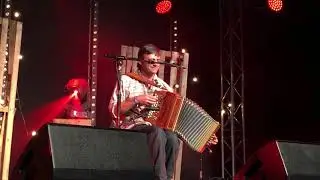 Andy Cutting at Towersey Festival