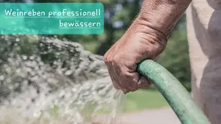 Bew&auml;sserung im Weinberg leicht gemacht