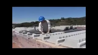 Amazing Skill Fast Workers Coconut Cutting Edition, People Are Awesome God Level Life Hacks 2  #ALN