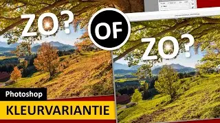 Photoshop | Kleurvariantie | Landschap • Product • Portret (Dutch)