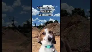 Agregado reciclado: solu&ccedil;&atilde;o sustent&aacute;vel para a constru&ccedil;&atilde;o