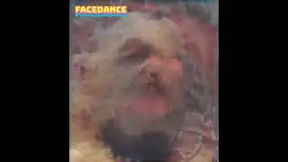 orc  Face  Dance January 1 2023
