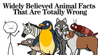 Widely Believed Animal Facts That Are Totally Wrong！