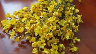 WILD WORKS Artificial Forsythia Branches Unboxing&Display