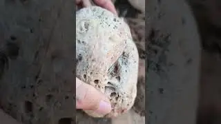 white agate