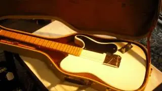 Fender Prototype Snakehead Professional Woody photo set