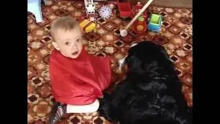 MOV02607