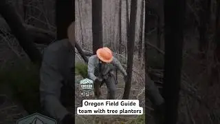 🌲 Oregon Field Guide team films tree planters 🌱 #oregonfieldguide