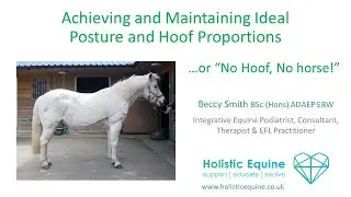 No Hoof No Horse with Beccy Smith - Equine Podiatrist