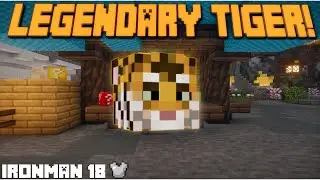 carried through slayers by a tiger... (Hypixel Skyblock Ironman) Ep.18
