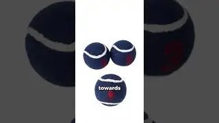 Ash Vs Ralph Lauren Polo