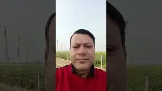 I Am Senior Reporter is live