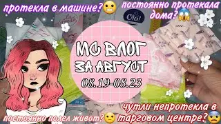 //💫мс влог-за месяц август💫//🌸АЛИНА🌸