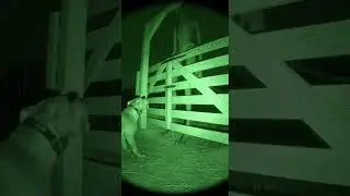 Pitbull vs Mystery Creature Caught on CCTV 😱#shorts#viral#pitbull#cctv#dog#farm#scary#securitycam