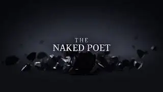 the naked poet - film opticals