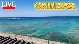 暑くなったり寒くなったりで、沖縄も大変