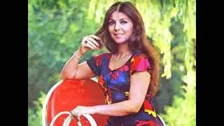 Iran Before  1979  Islamic revolution
