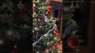 &Aring;RETS JULGRAN 🎄😍 #christmastree #christmas2024