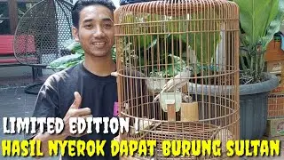 BUSYET DAH ! HASIL NYEROK KALI INI BIKIN MERINDING, SEMUANYA DI JUAL FULLSET
