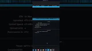 Torrenting Under Linux safe and private( full vid in description) #Linux #ProtonVPN #Torrenting