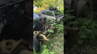 Which one of my cars should I pick for my winter project. Leave a comment