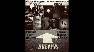 Filip Bagár A Harmonious Night