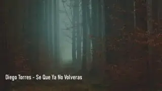 Diego Torres - Se Que Ya No Volverás - Letra