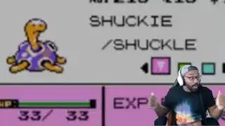 Shiny Shuckie Shuckle! Pokemon Crystal Full ODDS!