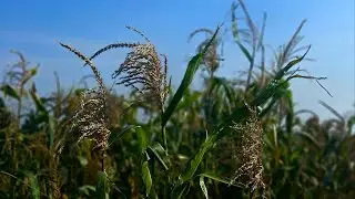 Granger Smith (Happens Like That) Unofficial Music Video