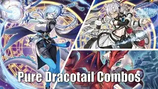 Dracotail Pure Combos