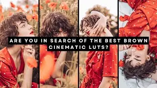 How to Achieve a Brown Bright Cinematic Look? Discover the Best LUTs!