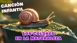 Descubr&iacute; la Magia del Color | &iexcl;Los colibr&iacute;es esconden mensajes en p&eacute;talos brillantes! 💌🪷