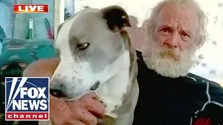 Dog saves owner after truck drives off a cliff