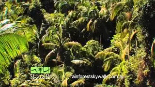 Skywalk Scenic Rim