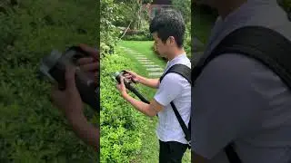ULV fogger