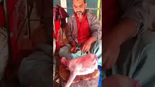 Number one fleshy goat brisket meat cutting for wedding orders
