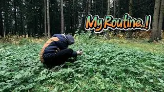 Что может этот объектив? Смотри сам! Pancolar 1.8/50mm