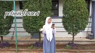 Video hasil observasi tanaman Potinia fraseri by Rizka Sagiva Martin X TFR 2