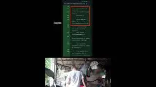 The code appears to be a test script for a decentralized finance (DeFi) project related to Pi Coin