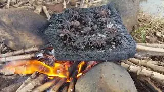 Primitive Technology - roasted black spider on rock- cooking black spider eating delicious