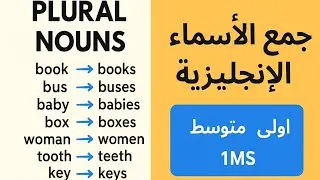 📘 جمع الأسماء في الإنجليزية | قواعد Plural Nouns بسهولة | أولى متوسط 1MS