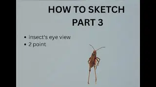 2-Point Insect&rsquo;s Eye View Sketching Tutorial | Perspective Drawing Step by Step
